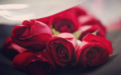 Valentine’s Day 2018 at The Glan Aber Hotel